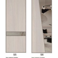 Шкаф-купе 2250 серии SILVER S5+S1+S5 B22+PL2 (по 2 ящика лев/прав+1 штанга+1 полка) профиль «Серебро» в Тарко-Сале - tarko-sale.mebel24.online | фото 13