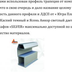 Шкаф-купе 2250 серии SILVER S5+S1+S5 B22+PL2 (по 2 ящика лев/прав+1 штанга+1 полка) профиль «Серебро» в Тарко-Сале - tarko-sale.mebel24.online | фото 16