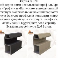 Шкаф-купе 2400 серии SOFT D5+D4+D5+B22+PL3 (по 2 ящика лев/прав+2штанги) профиль «Графит» в Тарко-Сале - tarko-sale.mebel24.online | фото 12