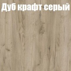 Шкаф-купе Бассо 1.0 (Дуб Крафт серый/Бетонный камень) 2 двери ЛДСП 2 зеркальные вставки в Тарко-Сале - tarko-sale.mebel24.online | фото 4