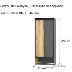 ОЛЬГА-ЛОФТ 10.1 Шкаф-купе без зеркала в Тарко-Сале - tarko-sale.mebel24.online | фото 3