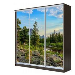 Шкаф-купе ХИТ 23-4-18-777 (420) в Тарко-Сале - tarko-sale.mebel24.online | фото 1
