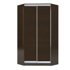 Шкаф-купе ХИТ-У-23-4-11 в Тарко-Сале - tarko-sale.mebel24.online | фото 1