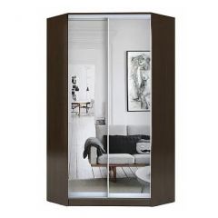 Шкаф-купе ХИТ-У-R-23-64-55 в Тарко-Сале - tarko-sale.mebel24.online | фото