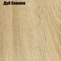 Шкаф-купе Лофт 3000 Шк30-60 (Дуб Сонома) в Тарко-Сале - tarko-sale.mebel24.online | фото 4