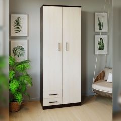 Шкаф распашной ПШ-3.9 в Тарко-Сале - tarko-sale.mebel24.online | фото 3