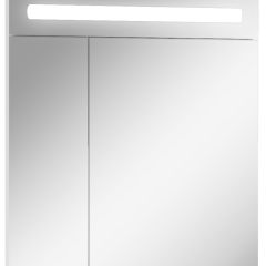 Шкаф-зеркало Аврора 65 с подсветкой LED Домино (DV8006HZ) в Тарко-Сале - tarko-sale.mebel24.online | фото