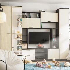 Стенка Марта 11 (Венге/Беленый дуб) в Тарко-Сале - tarko-sale.mebel24.online | фото