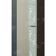 Стенка Сабина (модульная) венге/дуб белфорт в Тарко-Сале - tarko-sale.mebel24.online | фото 8