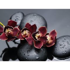 Стол обеденный Бостон Ст101.1 орхидеи в Тарко-Сале - tarko-sale.mebel24.online | фото 3