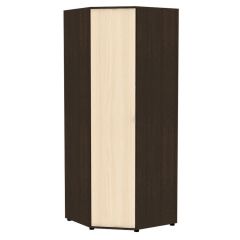 Угловой шкаф "Алиса (H6)" с торцевой ручкой в Тарко-Сале - tarko-sale.mebel24.online | фото 8