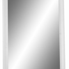Зеркало МДФ профиль 1200х600 Белый Домино (DM9016Z) в Тарко-Сале - tarko-sale.mebel24.online | фото 1