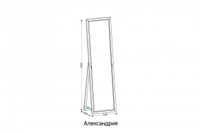 АЛЕКСАНДРИЯ-9.1 Зеркало напольное в Тарко-Сале - tarko-sale.mebel24.online | фото 2