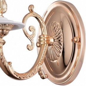 Бра Arte Lamp 8020 A8020AP-1WG в Тарко-Сале - tarko-sale.mebel24.online | фото 4