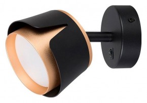 Бра Arte Lamp Amaks A8028AP-1BK в Тарко-Сале - tarko-sale.mebel24.online | фото
