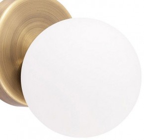 Бра Arte Lamp Bolla-piccolo A3989AP-1AB в Тарко-Сале - tarko-sale.mebel24.online | фото