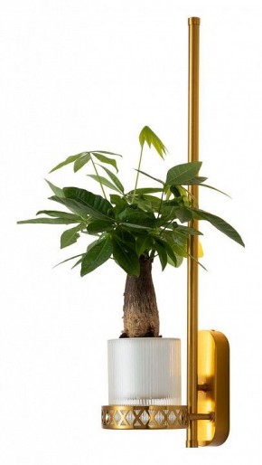 Бра Favourite Greenery 4050-1W в Тарко-Сале - tarko-sale.mebel24.online | фото 3