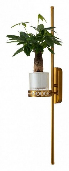 Бра Favourite Greenery 4050-2W в Тарко-Сале - tarko-sale.mebel24.online | фото 11