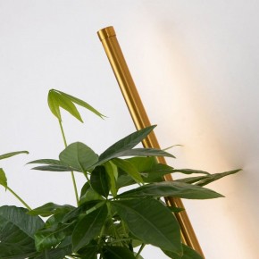 Бра Favourite Greenery 4050-2W в Тарко-Сале - tarko-sale.mebel24.online | фото 13