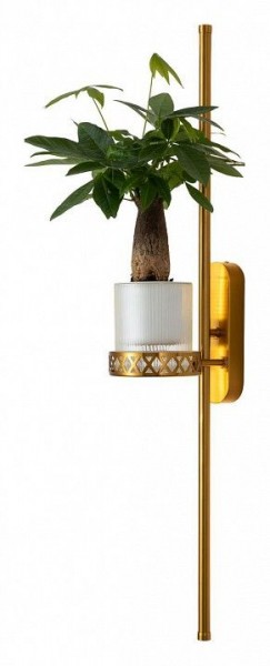 Бра Favourite Greenery 4050-2W в Тарко-Сале - tarko-sale.mebel24.online | фото 3