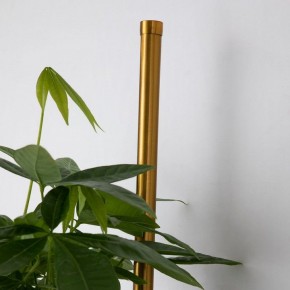 Бра Favourite Greenery 4050-2W в Тарко-Сале - tarko-sale.mebel24.online | фото 8
