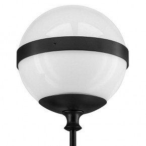 Бра Lightstar Globo 813617 в Тарко-Сале - tarko-sale.mebel24.online | фото 3