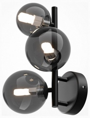 Бра Maytoni Dallas MOD545WL-03B в Тарко-Сале - tarko-sale.mebel24.online | фото 2