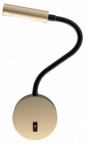 Бра Maytoni Stem C035WL-L3MG3K в Тарко-Сале - tarko-sale.mebel24.online | фото
