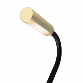 Бра Maytoni Stem C035WL-L3MG3K в Тарко-Сале - tarko-sale.mebel24.online | фото 6