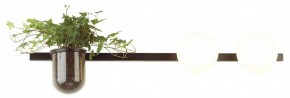 Бра Odeon Light Flower 4681/2W в Тарко-Сале - tarko-sale.mebel24.online | фото 3