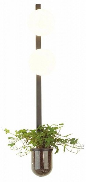 Бра Odeon Light Flower 4681/2WA в Тарко-Сале - tarko-sale.mebel24.online | фото 3
