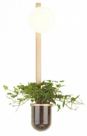 Бра Odeon Light Flower 4682/1WB в Тарко-Сале - tarko-sale.mebel24.online | фото 3