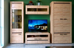 БЬЯНКА НКМ Гостинная (модульная) дуб баррик в Тарко-Сале - tarko-sale.mebel24.online | фото 1