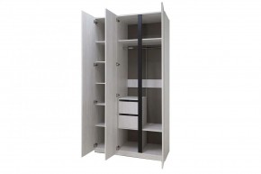 ДЕЛИ 3 Шкаф 3-х створчатый в Тарко-Сале - tarko-sale.mebel24.online | фото 6