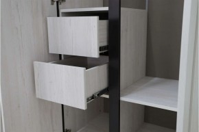 ДЕЛИ 3 Шкаф 3-х створчатый в Тарко-Сале - tarko-sale.mebel24.online | фото 7