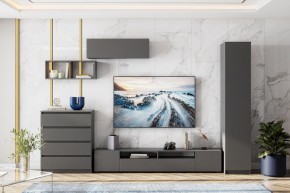 ДЕНВЕР Гостиная (Варианнт-1) Графит серый в Тарко-Сале - tarko-sale.mebel24.online | фото