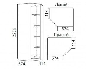 Детская Фанк Шкаф угловой Левый/Правый НМ 013.04-02 М в Тарко-Сале - tarko-sale.mebel24.online | фото 3