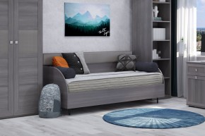 Диван-кровать 900 Парма Нео в Тарко-Сале - tarko-sale.mebel24.online | фото 4