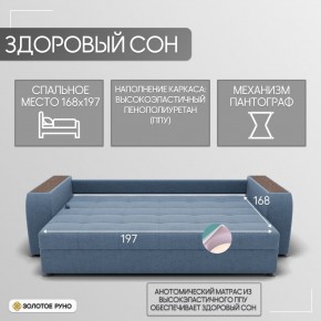Диван Сенатор-1 (ППУ) в Тарко-Сале - tarko-sale.mebel24.online | фото 3