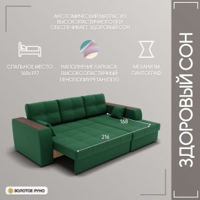 Диван Сенатор-3 (ППУ) в Тарко-Сале - tarko-sale.mebel24.online | фото 5