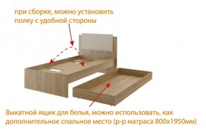 Дуглас (подростковая) М14 Кровать в Тарко-Сале - tarko-sale.mebel24.online | фото 5