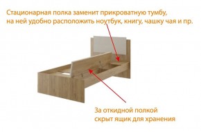 Дуглас (подростковая) М14 Кровать в Тарко-Сале - tarko-sale.mebel24.online | фото 6