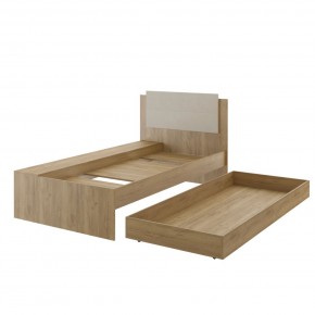 Дуглас подростковая (модульная) в Тарко-Сале - tarko-sale.mebel24.online | фото 40