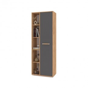 ФЛОРИДА Ф12 Шкаф-стеллаж (дуб золотой/графит) в Тарко-Сале - tarko-sale.mebel24.online | фото