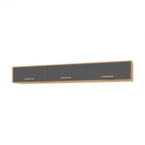 ФЛОРИДА Гостиная (модульная) дуб золотой/графит в Тарко-Сале - tarko-sale.mebel24.online | фото 11