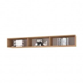 ФЛОРИДА Гостиная (модульная) дуб золотой/графит в Тарко-Сале - tarko-sale.mebel24.online | фото 13