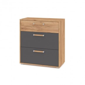 ФЛОРИДА Гостиная (модульная) дуб золотой/графит в Тарко-Сале - tarko-sale.mebel24.online | фото 8