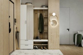 Гарнитур для прихожей Торонто в Тарко-Сале - tarko-sale.mebel24.online | фото 5