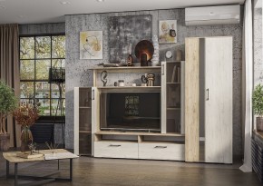Гостиная Эмма (Дуб Крафт серый/белый) в Тарко-Сале - tarko-sale.mebel24.online | фото