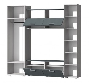 Гостиная Эмми (Анкор светлый/Графит) в Тарко-Сале - tarko-sale.mebel24.online | фото 3
